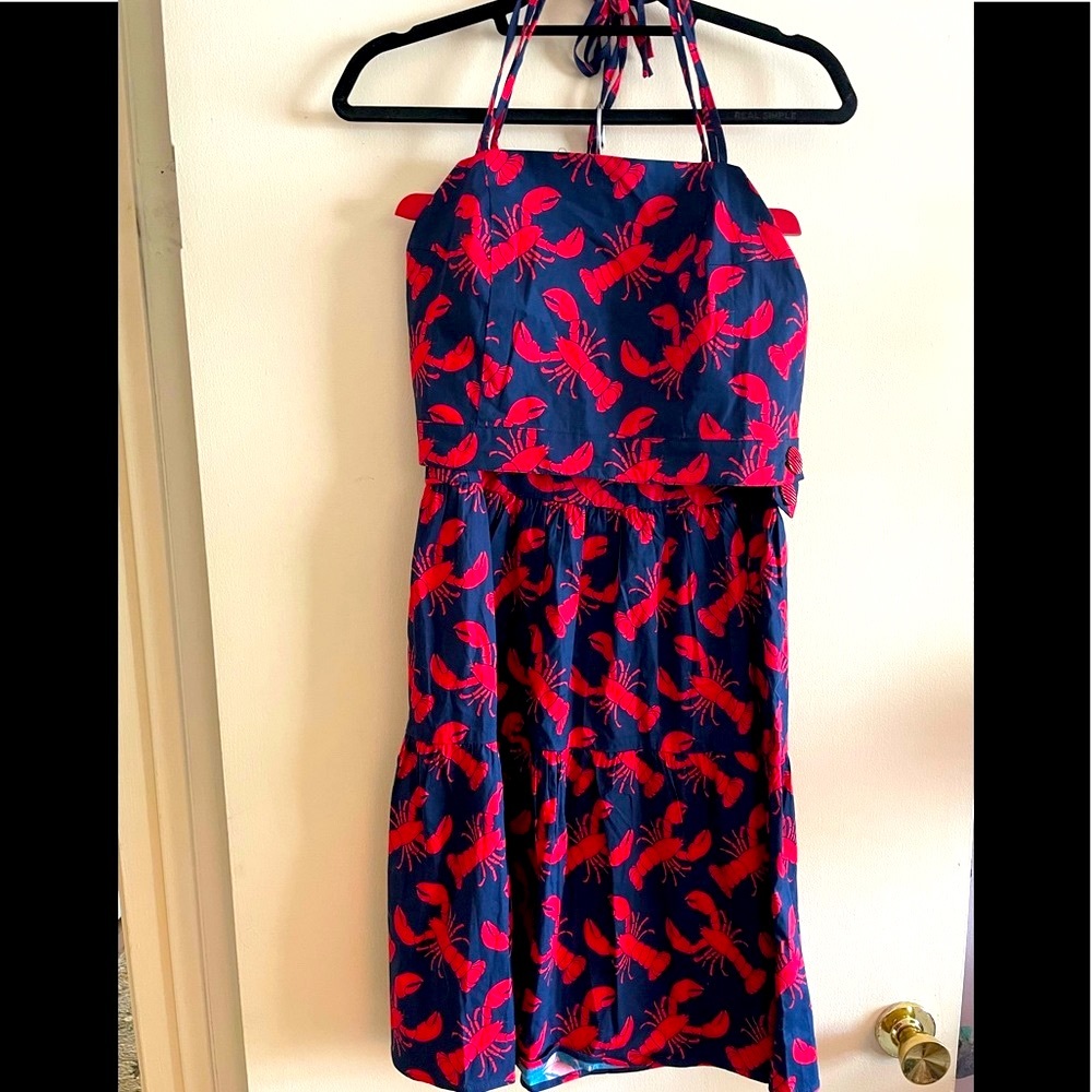 Anthro: Eva Franco Halter and Skirt sz 10
